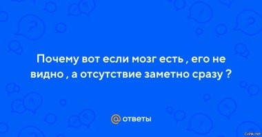 Спит на лавке, просит милостыню: экс-полицейская из Краснодара живёт в аэропорту Бангкока