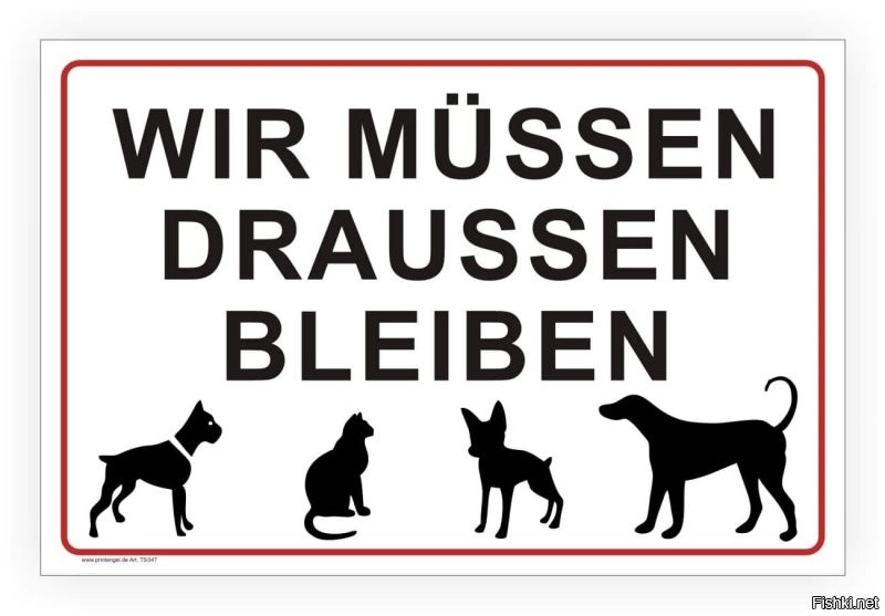У каждого магазина в Германии стоит такой "мы должны остаться снаружи" .