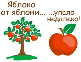 Отца двух дагестанских террористов выпустили на свободу