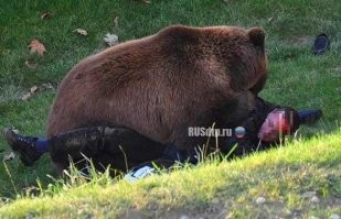 Ирония понятна, только это не есть хорошо. Вместо мужичков могли быть дети.
Мне вот всегда интересно. Если бы на этом месте были авторы подобных шуток. Или их жёны. Какой бы был текст? Наверное "Меня сегодня кушал мишка. И его порадовал, и сам удовольствие получил"