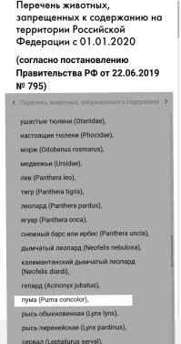 Хм... Почему это "Законом это никак не регулируется."

Запрещено же.