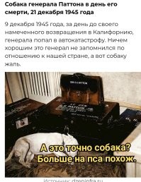 Подборка необычных фотографий из США