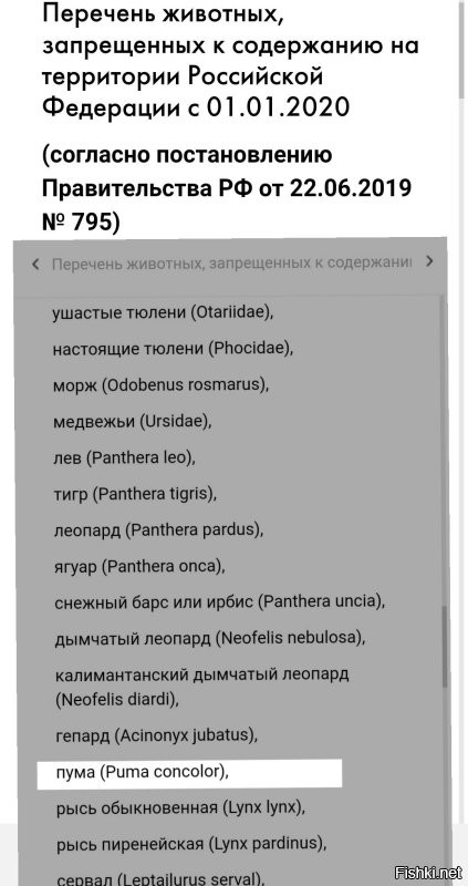 Хм... Почему это "Законом это никак не регулируется."

Запрещено же.