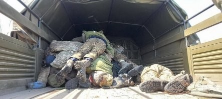 Холодильник зачем? Тухлятину вот так вывозят.