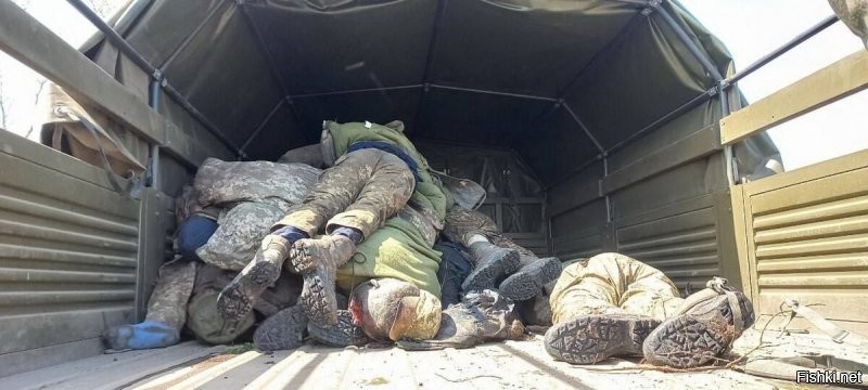 Холодильник зачем? Тухлятину вот так вывозят.