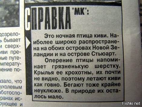 Зимородок: птицы, застрявшие в деревьях