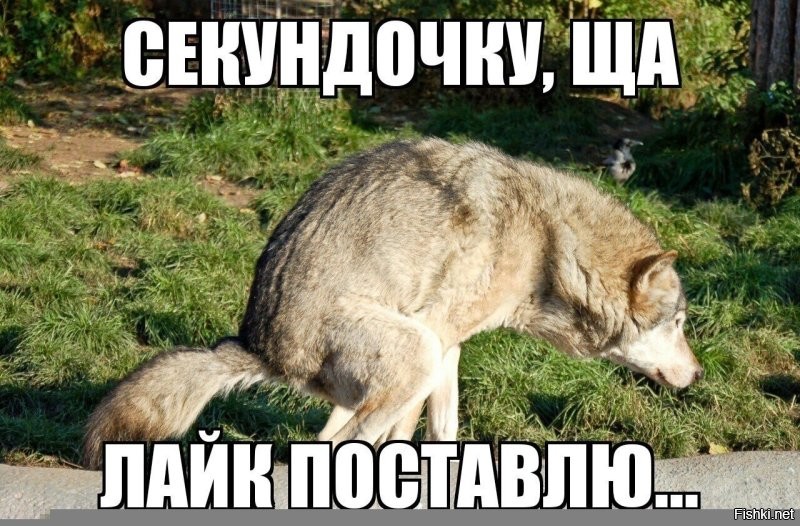 это вопрос спорный - оценил, пометил или нассал.
хорошо, что лайк не поставил...