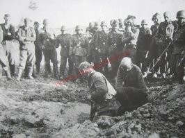 Политический мониторинг (377)