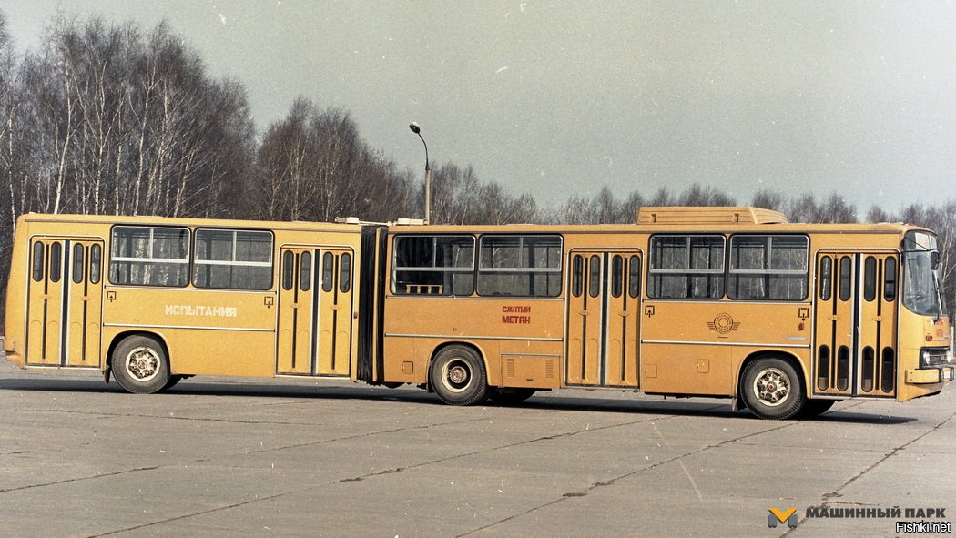 Икарус обрезанный.