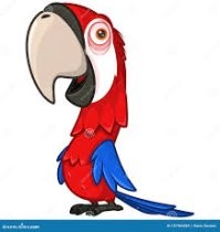 Три сестры и результаты их ринопластики⁠⁠