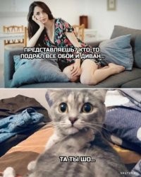 20 непослушных питомцев, от которых у хозяев дергается глаз