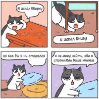 И это мне советует "хомяк"? Позови ещё" морскую свинку".