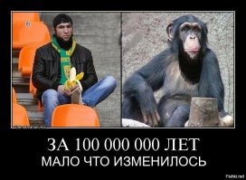 Случай на Дону