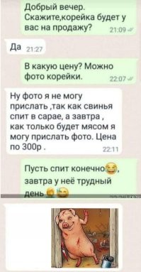 Свинья на «копейке» врезалась в столб