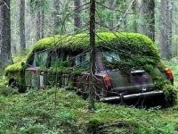 Однажды мои знакомые купили новую Ниву и через месяц поехали на рыбалку. Порыбачили и спать легли...а так как была зима то завели мотор. В общем угарным газом надышались и умерли. Машину нашли через год и несколько месяцев и выглядела она так же. 
В общем эта машина потом около 10 владельцев сменила и каждый и месяца не мог проездить. Трупный запах остнался даже полной замены салона. В итоге разобрали её на запчасти.