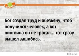 Скрины из соцсетей&nbsp;&nbsp;&nbsp;&nbsp;&nbsp;&nbsp;&nbsp;&nbsp;&nbsp;&nbsp;&nbsp;&nbsp;