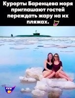 Люблю белых медведиц, чёрт побери!