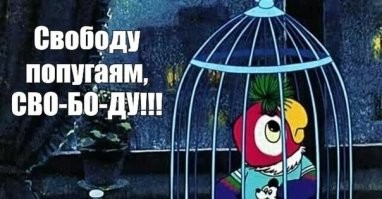 Не ищите здесь смысл. Здесь в основном маразм