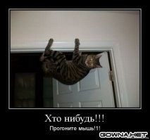 Пушистые скалолазы