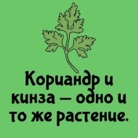 Та ты шо?! Вот новость так новость!