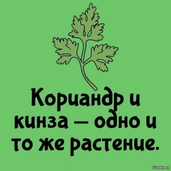 Та ты шо?! Вот новость так новость!