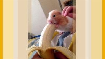 Скрины из соцсетей&nbsp;&nbsp;&nbsp;&nbsp;&nbsp;&nbsp;&nbsp;&nbsp;&nbsp;&nbsp;&nbsp;&nbsp;