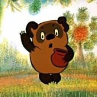 Полицейские спасли медвежонка на Камчатке