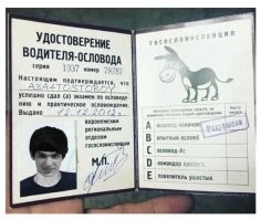 "Три уголник": в сети появились результаты тестирования мигрантов на знание ПДД