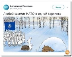 Политический мониторинг (381)