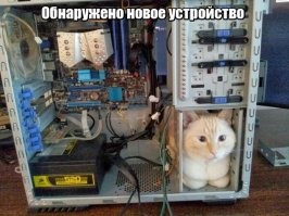 Котики и техника