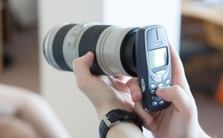 Тем временем оператор, отсняв битву свиноматок, пошёл снимать птиц в парке: