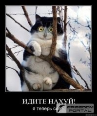 Необычные, но очень милые древесные жители