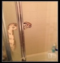 Скрины из соцсетей&nbsp;&nbsp;&nbsp;&nbsp;&nbsp;&nbsp;&nbsp;&nbsp;&nbsp;&nbsp;&nbsp;&nbsp;