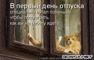 Окна в котомир