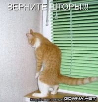 Окна в котомир