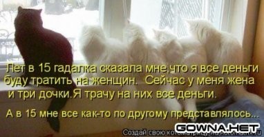 Окна в котомир
