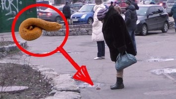 PokemonKa, смени аватарку на такую. Ты, похоже, любительница наблюдать за жизнью дерьма.