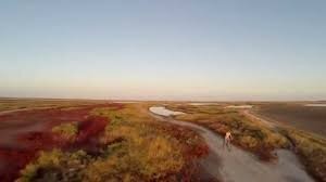 Похоже на солончаки возле моря.