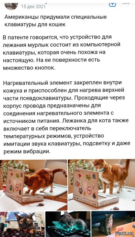 Разработана очередная утилита, которая защищает клавиатуру от котов