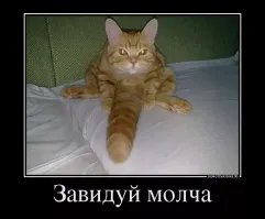 Удачный улов: леопард после охоты в водоёме