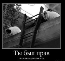 Взгляд с недосягаемой высоты
