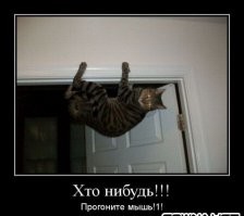 Взгляд с недосягаемой высоты