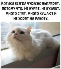 Взгляд с недосягаемой высоты