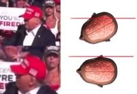 Если это плохо, то что тогда хорошо?