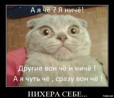 Застукали на месте преступления