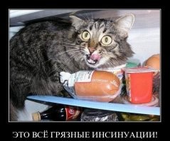 Застукали на месте преступления