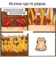 В пустых спорах не основанных на достоверных знаниях рождается только бред.