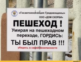 Начинающий водитель сбил двух пешеходов