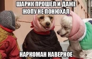 Ожидания не всегда совпадают с реальностью