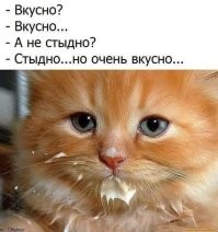 Застукали на месте преступления